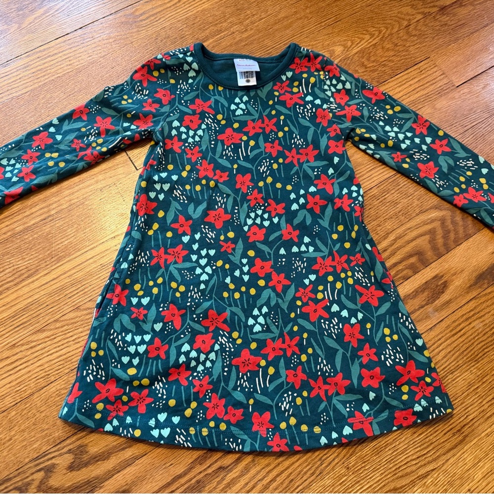 Hanna Andersson Festive Poinsettia Dress